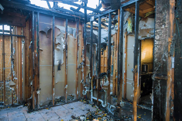 Professional Fire Damage Removal technician working in Sanborn, NY